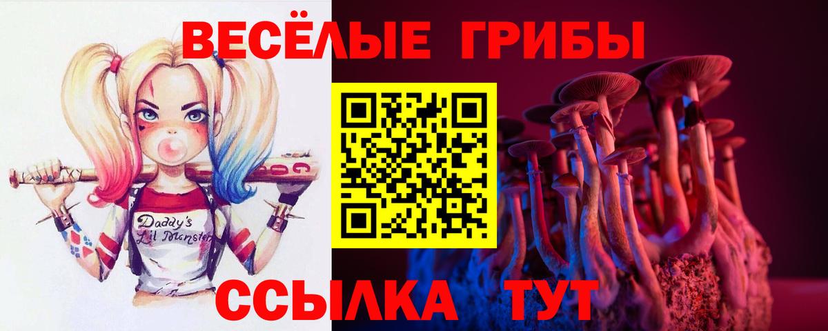 Псилоцибиновые грибы GOLDEN TEACHER Керчь